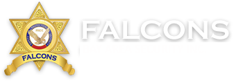 Falcons Security Guard Services